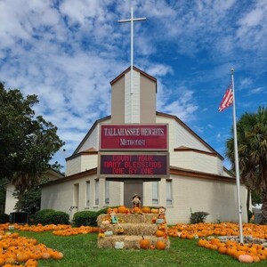 Team Page: Tallahassee Heights Methodist Church 